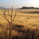 Loved our driver in Mexico