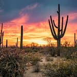 A wonderful travel experience.