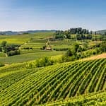 Making our Holiday easy