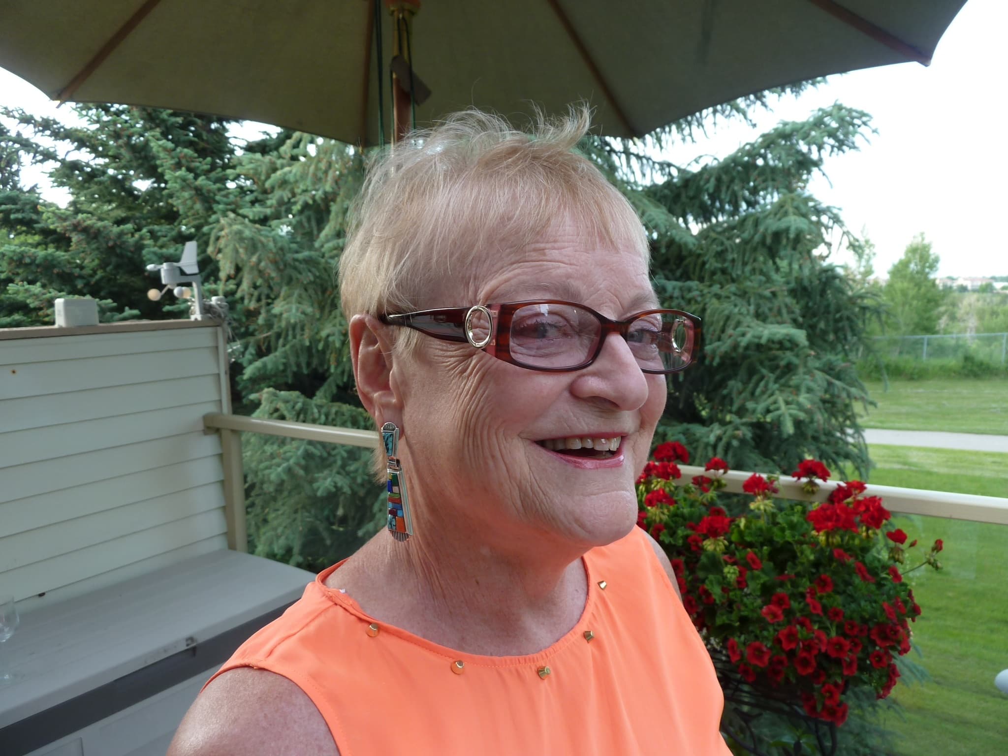 Really see the countries with DayTrip