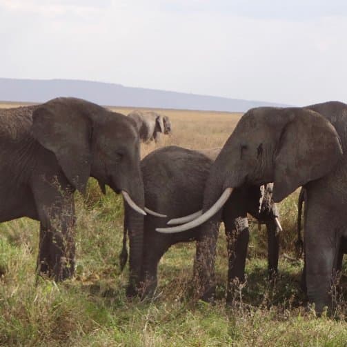 Courteous and Professional