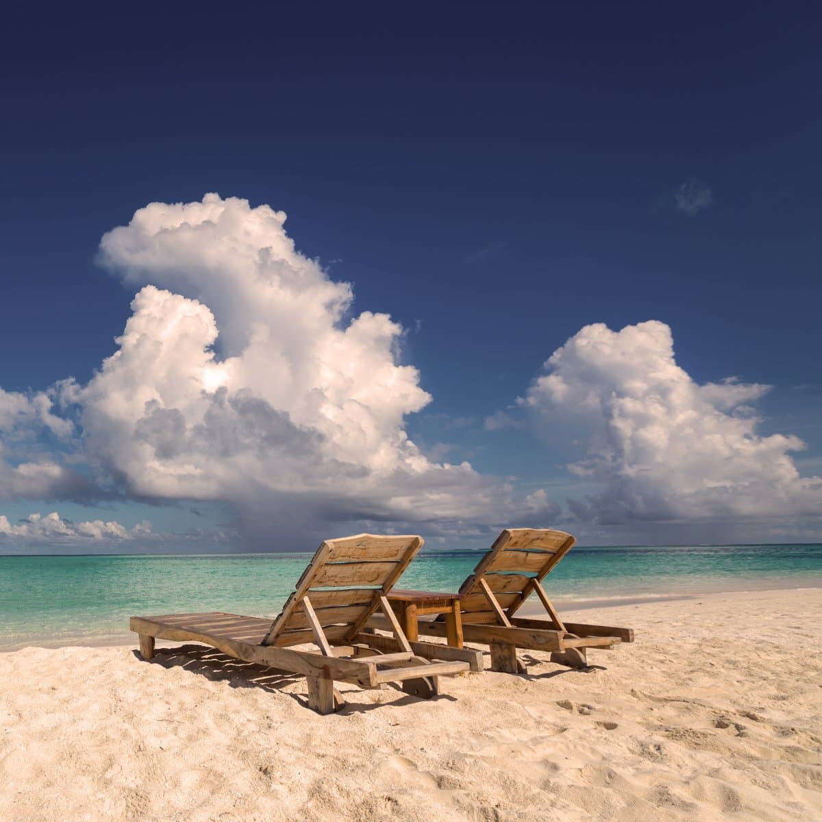 Excellent service by Daytrip and Miguel