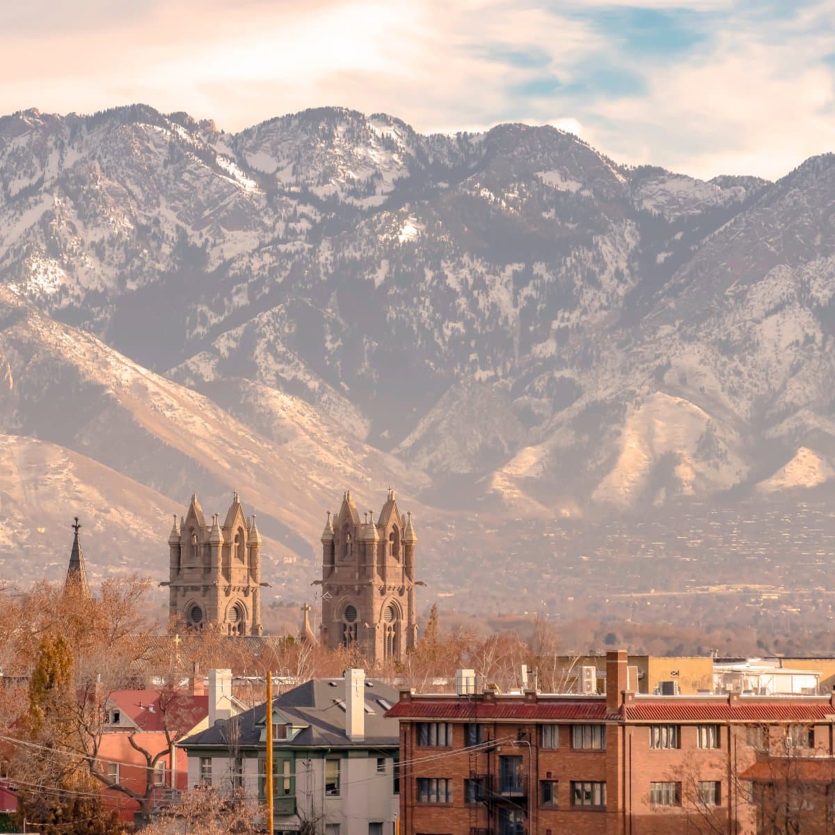 Excellent guide/driver