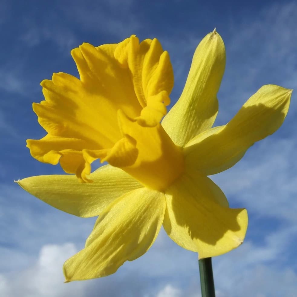 Une excellente option de voyage, je recommande fortement.