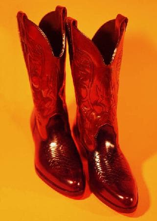 Neuschwanstein nach Innsbruck