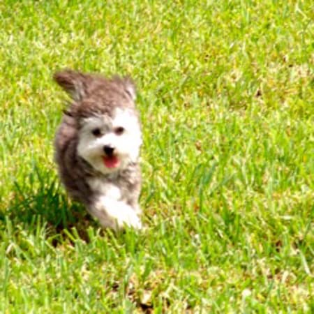 我们非常喜欢我们的“侄子”Michal，他从克拉科夫开车送我们到华沙