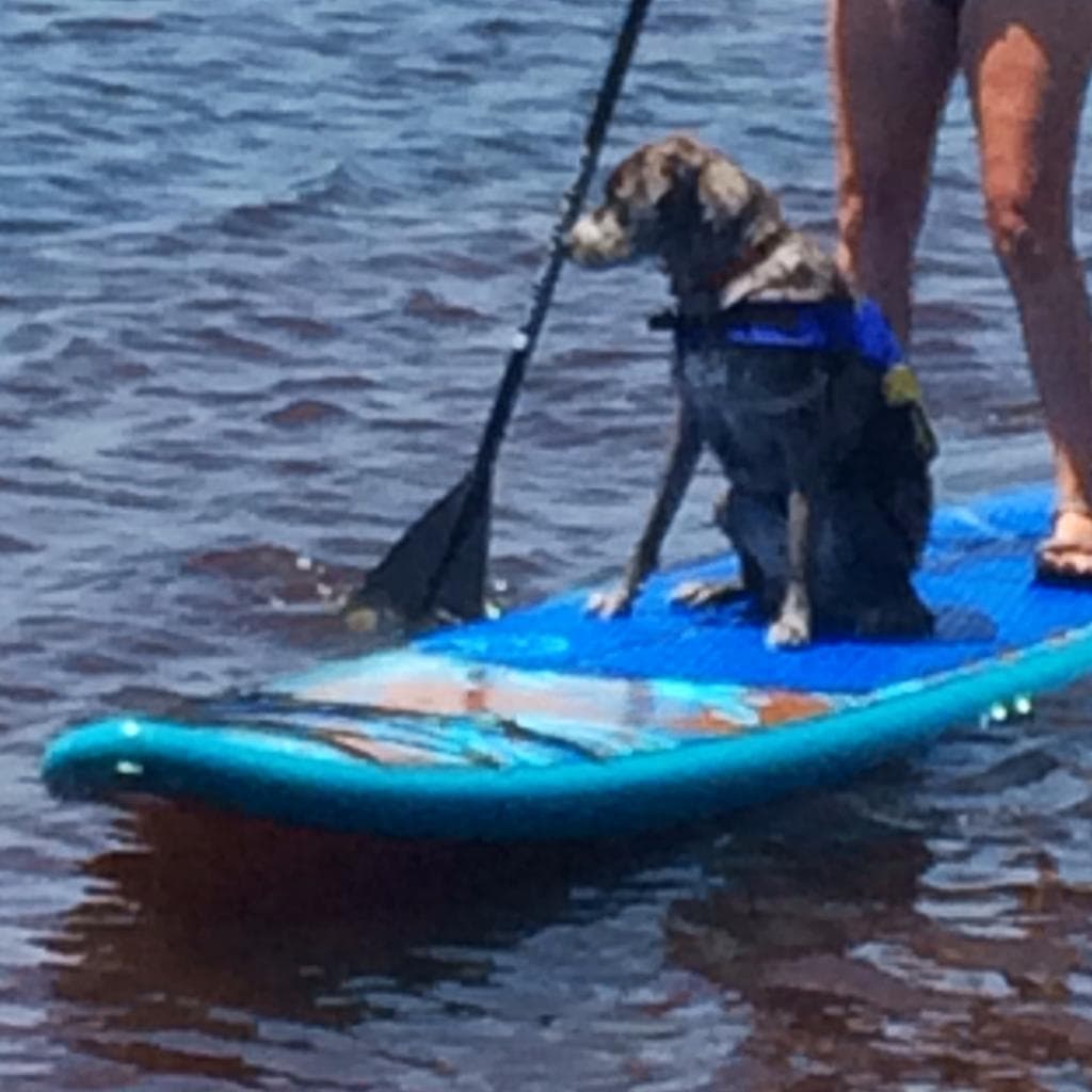 Excellent Local transfer service!