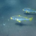 Great relaxing drive