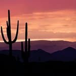 साझा शटल के साथ सकारात्मक अनुभव