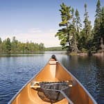 Avis client 5 étoiles pour chauffeur privé et services de visite de Daytrip